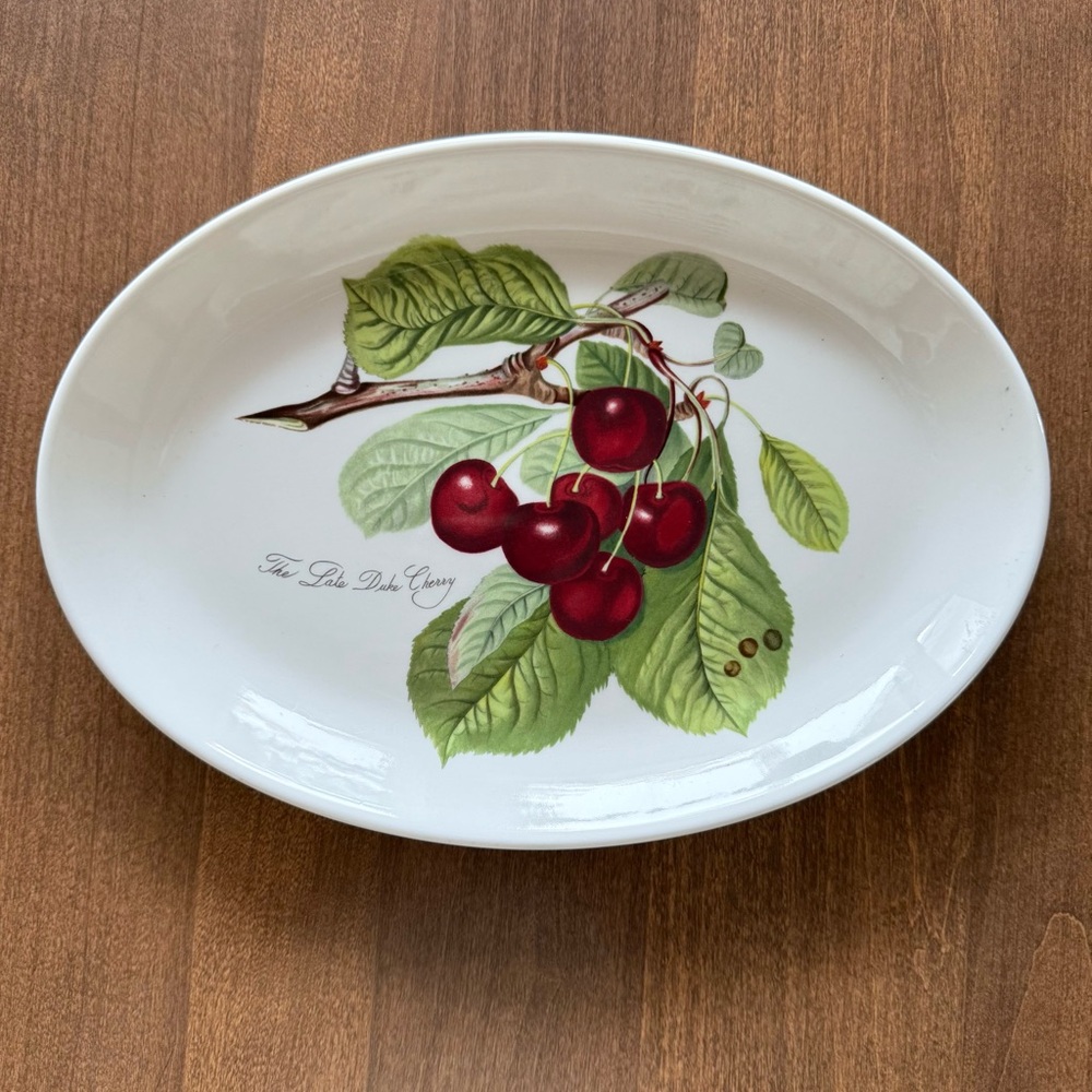 Portmeirion “Pomona” “Late Duke Cherry” Oval Steak Plate 11”Discontinued Design